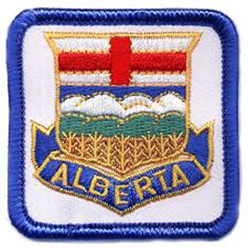 The Vanca Women's Skater Dress