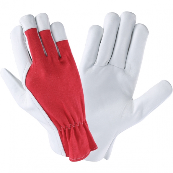 The Vanca Women's Skater Dress